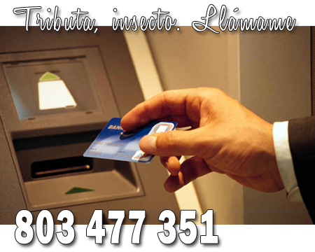 Tributos a Domina Erika